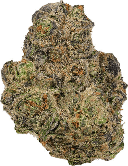 Rotten Teeth image 1